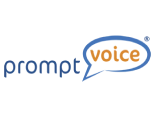 PromptVoice logo